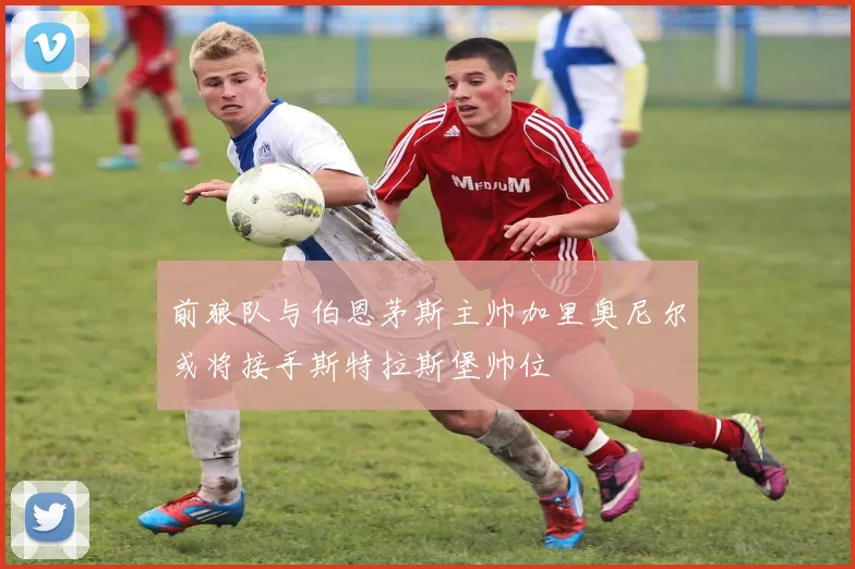 前狼队与伯恩茅斯主帅加里奥尼尔或将接手斯特拉斯堡帅位