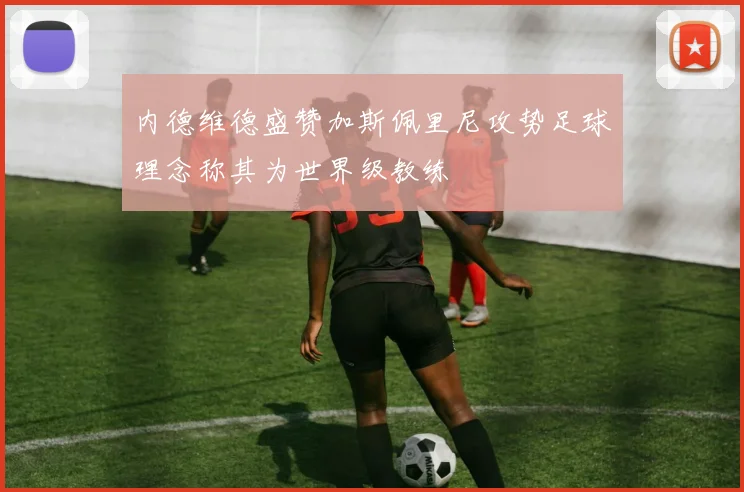 内德维德盛赞加斯佩里尼攻势足球理念称其为世界级教练