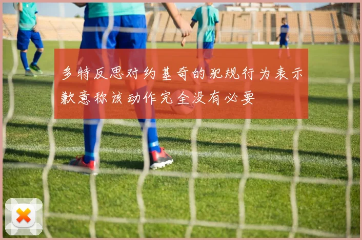 多特反思对约基奇的犯规行为表示歉意称该动作完全没有必要
