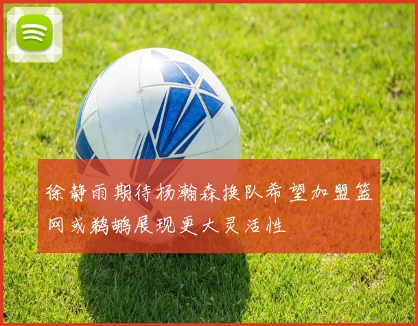 徐静雨期待杨瀚森换队希望加盟篮网或鹈鹕展现更大灵活性